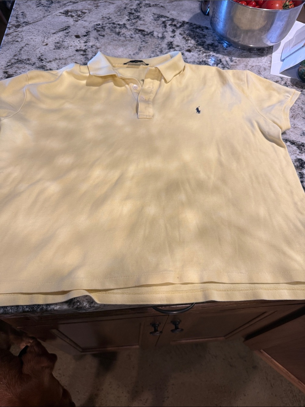 Ralph Lauren Men’s Pale Yellow Polo with Navy Pony